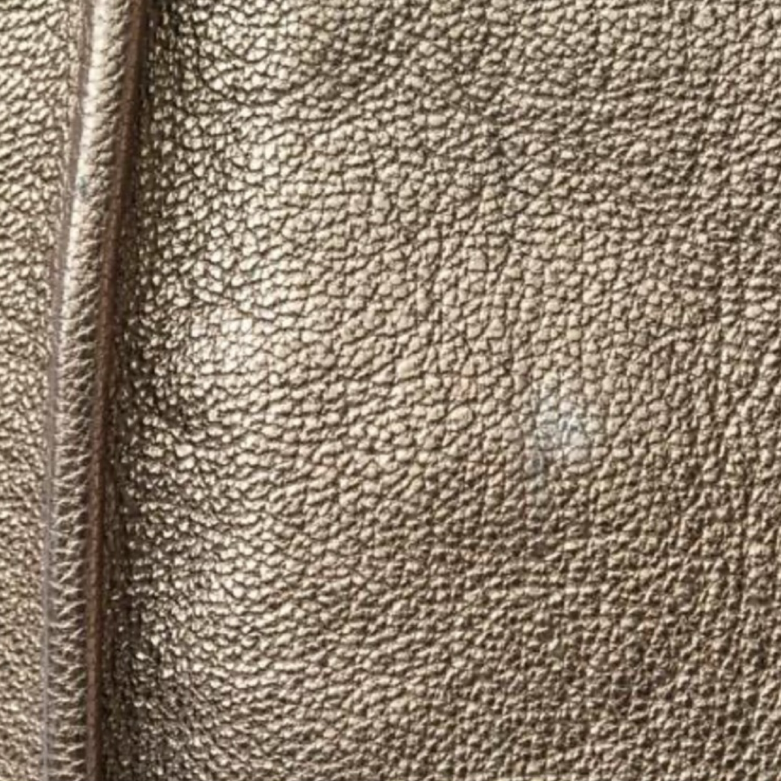 Loewe Anagram Lambskin Semi-Shoulder Bag Champagne Gold Authentic Previously Owned