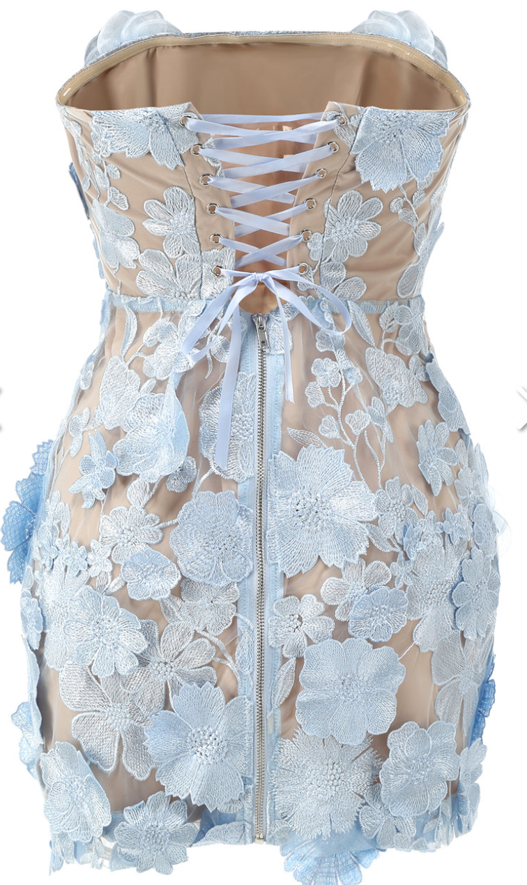 Strapless Embroidered Floral Corset Dress